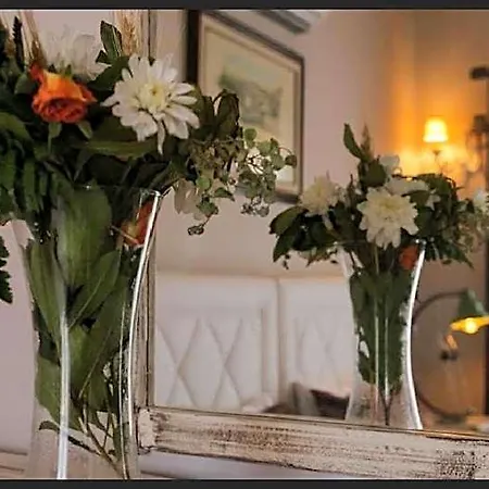 فندق Rikas Boutique